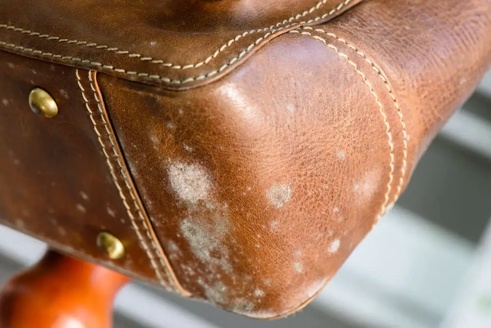 Preserve the Charm: Caring for Leather Bags and Backpacks
